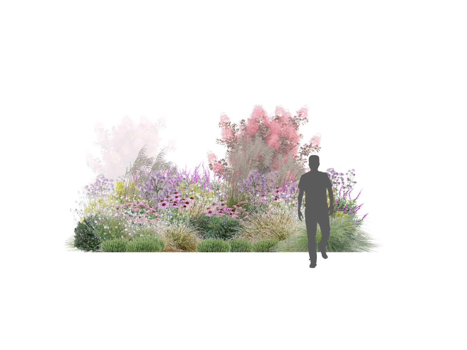 44b whitaker street planting scheme enlarged for instagram 3 by 4