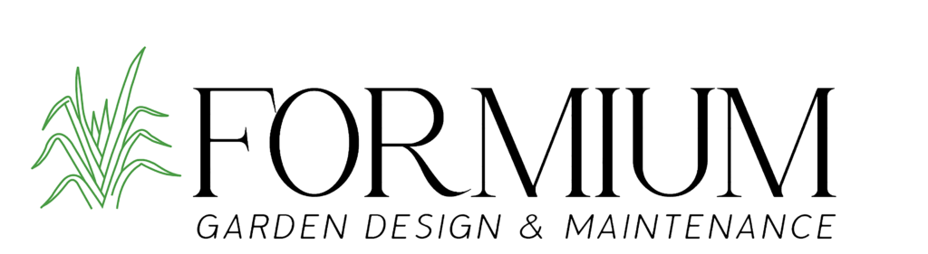 formium branding 2 no background