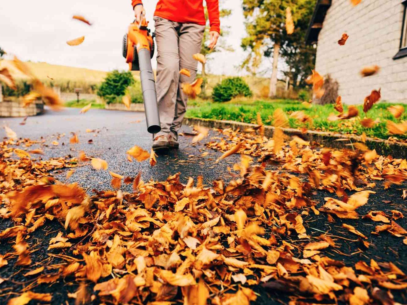 leaf blowing 2 4 by 3