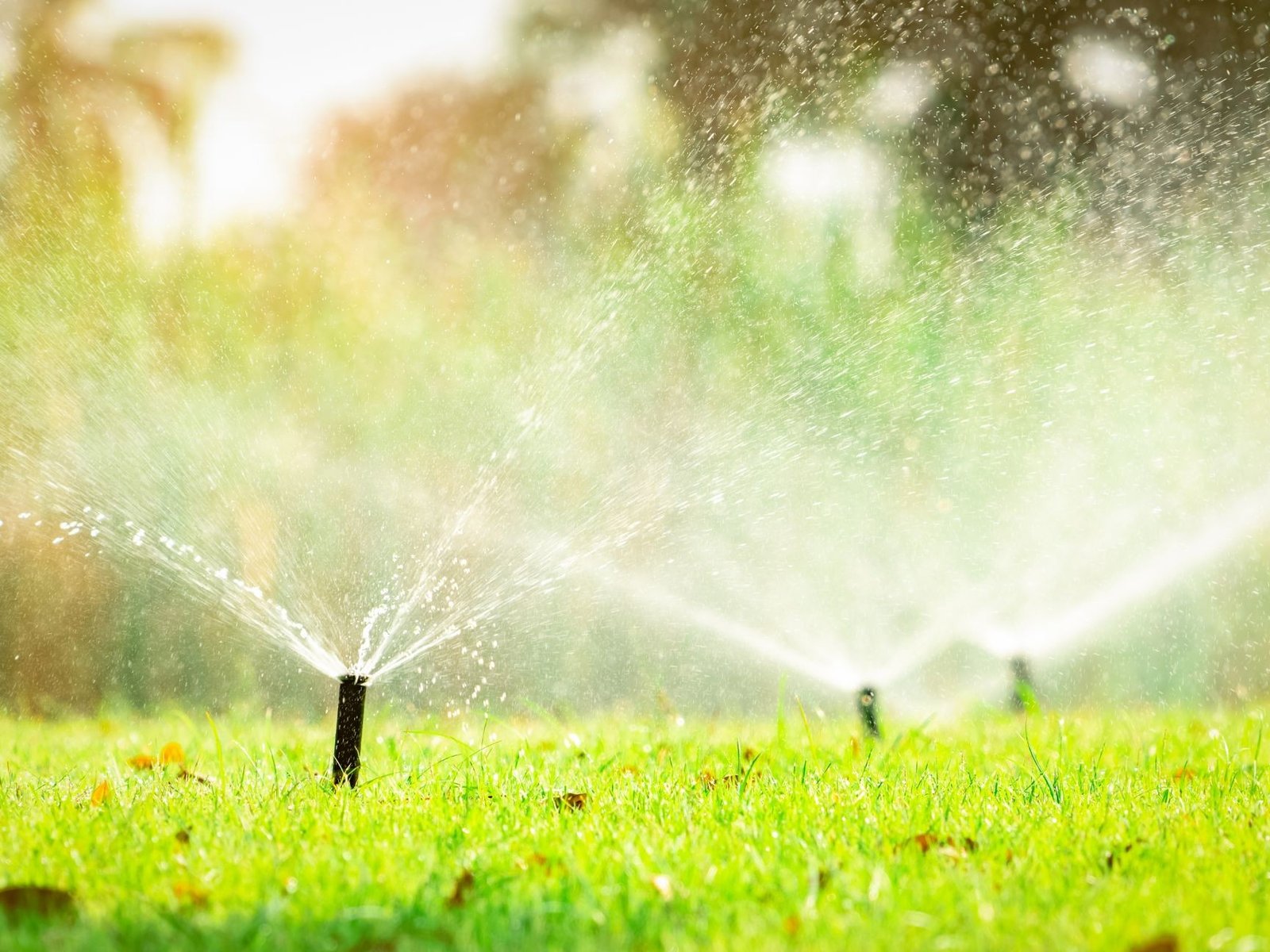 irrigation 2 4 by 3