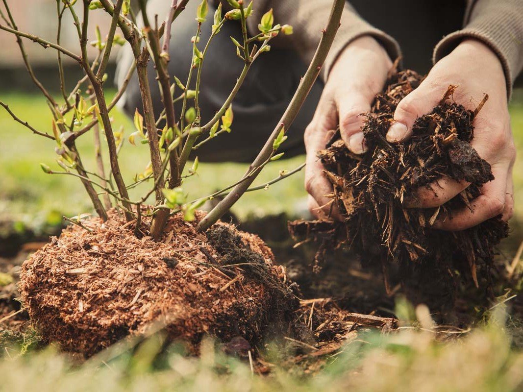 mulching planting into 4 by 3